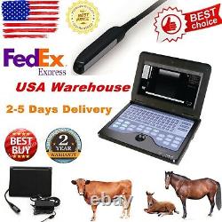 VET Veterinary portable Ultrasound Scanner Machine For cowithhorse/Animal, rectal