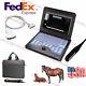 Vet Veterinary Portable Ultrasound Scanner Machine For Cowithhorse, Rectal+convex
