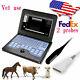 Vet Veterinary Portable Ultrasound Scanner Machine For Horse, Cow, Rectal+linear