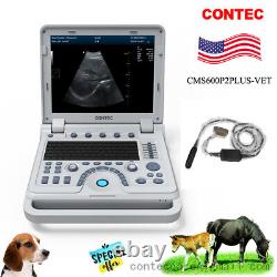 VET pseudo Color Ultrasonic Diagnostic System B ultrasound Scanner+6.5Mhz rectal