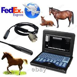 Veterinary Bovine & equine Ultrasound Scanner Horse laptop Machine Rectal Probe
