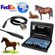 Veterinary Bovine & Equine Ultrasound Scanner Horse Laptop Machine Rectal Probe