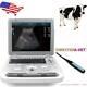 Veterinary Color Ultrasound Scanner With 7.5 Mhz Rectal Probes For Bovine, Equine