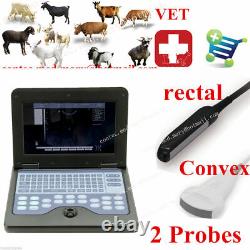 Veterinary Digital Laptop Ultrasound Scanner CONTEC, Rectal Linear+Convex Probes