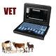 Veterinary Digital Laptop Ultrasound Scanner Machine Main Unit Without Probe