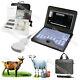 Veterinary Laptop Ultrasound Scanner Machine +3.5mhz Convex For Goat/sheep/pig