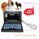 Veterinary Laptop Ultrasound Scanner Machine+ 3.5mhz Convex Abdominal Probe