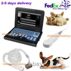 Veterinary Laptop Ultrasound Scanner Machine, Micro-Convex Probe, Small Animal Use