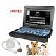 Veterinary Laptop Ultrasound Scanner Machine, Vet Micro-convex Probe For Dog/cat