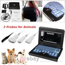 Veterinary Portable Notebook Laptop VET Ultrasound Scanner two animal probes CE