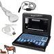 Veterinary Ultrasound Scanner Digital Laptop Machine Cms600p2 +3 Probes Portable