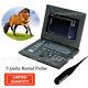 Veterinary Ultrasound Scanner Laptop Machine, 6.5 Rectal Probe, Cowithhorse Animals