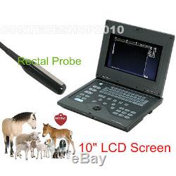 Veterinary Ultrasound Scanner Laptop Machine, 6.5 Rectal Probe, Cowithhorse Animals