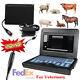 Veterinary Ultrasound Scanner Laptop Machine 7.5mhz Rectal Probe For Horse Cow