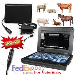 Veterinary Ultrasound Scanner Laptop Machine 7.5Mhz Rectal probe For Horse Cow
