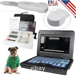Veterinary Ultrasound Scanner Laptop Ultrasound Machine Micro Convex For Dog/Cat