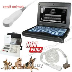 Veterinary Ultrasound Scanner Machine 2VET Probes Rectal+Micro-convex Animal USA