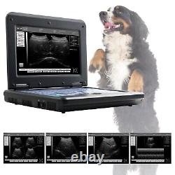 Veterinary Ultrasound Scanner Machine Dog/Cat VET Use Laptop Cardia Micro Convex