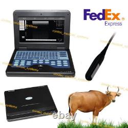 Veterinary Ultrasound Scanner Machine, Portable Laptop, Endo Rectal probe, CMS600P2